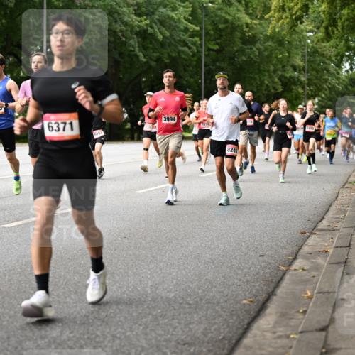 06.09.2026 - CURREX Alsterlauf Dr. Thomas Lammeyer http://msf.ph/oto/10114042 06.09.2026 09:06:39 Laufen 5114, 4505, 6371, 3994, 5874, 6102, 8249, 2498 meine-sportfotos.de