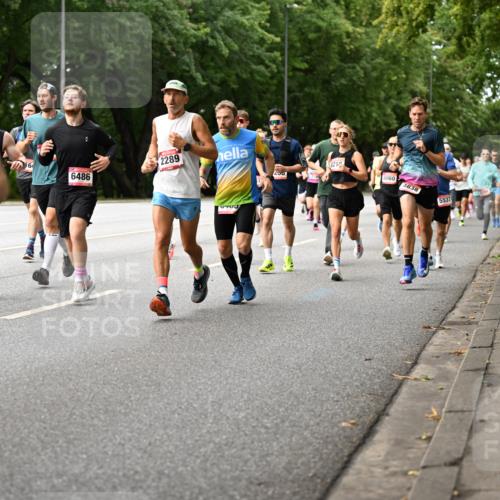 06.09.2026 - CURREX Alsterlauf Dr. Thomas Lammeyer http://msf.ph/oto/10114077 06.09.2026 09:06:44 Laufen 2498, 64, 2289, 6486, 250, 821, 6060, 4838, 5537 meine-sportfotos.de
