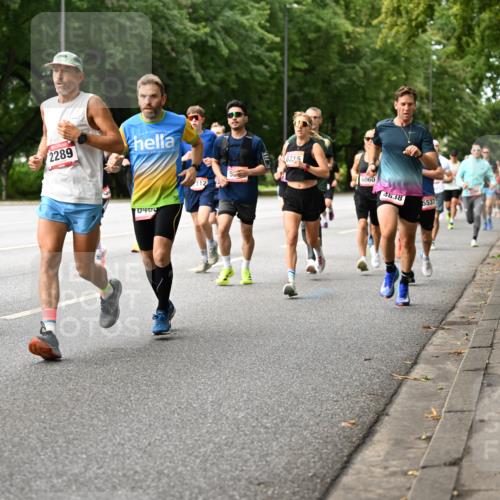 06.09.2026 - CURREX Alsterlauf Dr. Thomas Lammeyer http://msf.ph/oto/10114082 06.09.2026 09:06:45 Laufen 6486, 2289, 040, 112, 8215, 6060, 4838, 5537 meine-sportfotos.de