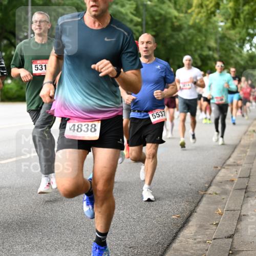 06.09.2026 - CURREX Alsterlauf Dr. Thomas Lammeyer http://msf.ph/oto/10114095 06.09.2026 09:06:47 Laufen 8216, 531, 4838, 5537 meine-sportfotos.de