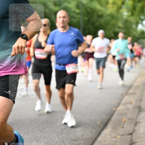 06.09.2026 - CURREX Alsterlauf Dr. Thomas Lammeyer http://msf.ph/oto/10114098 06.09.2026 09:06:48 Laufen  meine-sportfotos.de