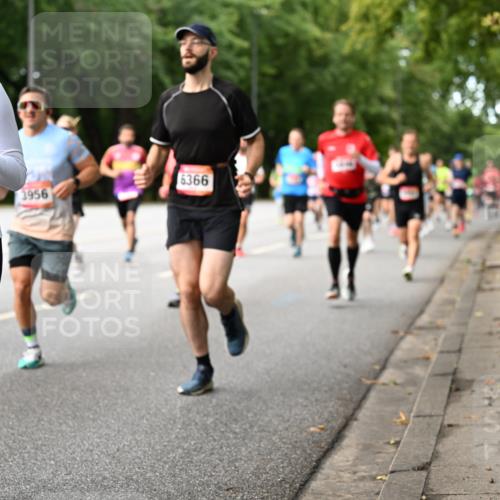 06.09.2026 - CURREX Alsterlauf Dr. Thomas Lammeyer http://msf.ph/oto/10114178 06.09.2026 09:07:00 Laufen 5919, 6366, 1956 meine-sportfotos.de