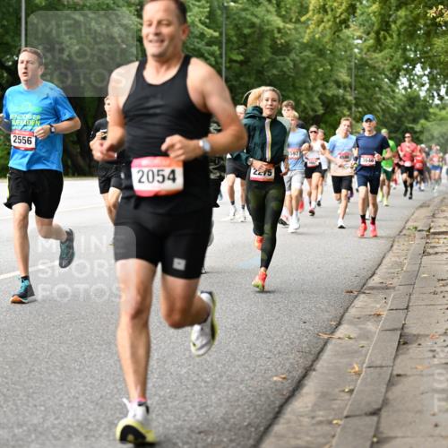 06.09.2026 - CURREX Alsterlauf Dr. Thomas Lammeyer http://msf.ph/oto/10114197 06.09.2026 09:07:03 Laufen 2563, 2556, 2275, 2054, 597, 4586, 3646 meine-sportfotos.de