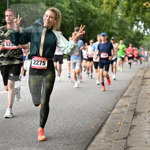 06.09.2026 - CURREX Alsterlauf Dr. Thomas Lammeyer http://msf.ph/oto/10114207 06.09.2026 09:07:04 Laufen 5236, 3445, 2275 meine-sportfotos.de