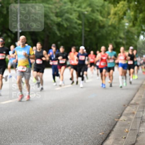 06.09.2026 - CURREX Alsterlauf Dr. Thomas Lammeyer http://msf.ph/oto/10114255 06.09.2026 09:07:12 Laufen  meine-sportfotos.de