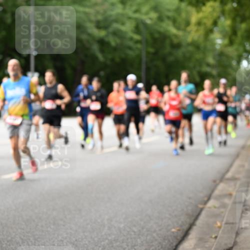06.09.2026 - CURREX Alsterlauf Dr. Thomas Lammeyer http://msf.ph/oto/10114257 06.09.2026 09:07:13 Laufen  meine-sportfotos.de
