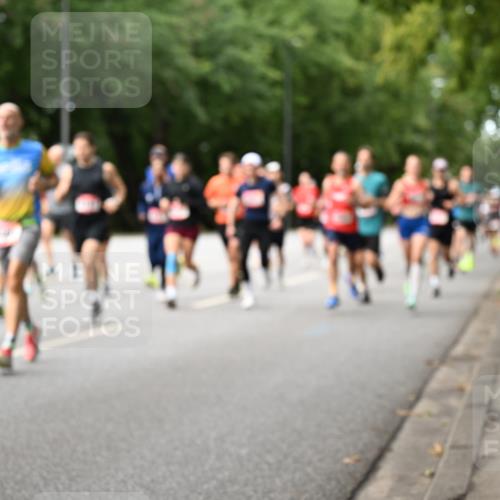 06.09.2026 - CURREX Alsterlauf Dr. Thomas Lammeyer http://msf.ph/oto/10114258 06.09.2026 09:07:13 Laufen  meine-sportfotos.de