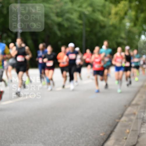 06.09.2026 - CURREX Alsterlauf Dr. Thomas Lammeyer http://msf.ph/oto/10114259 06.09.2026 09:07:13 Laufen  meine-sportfotos.de