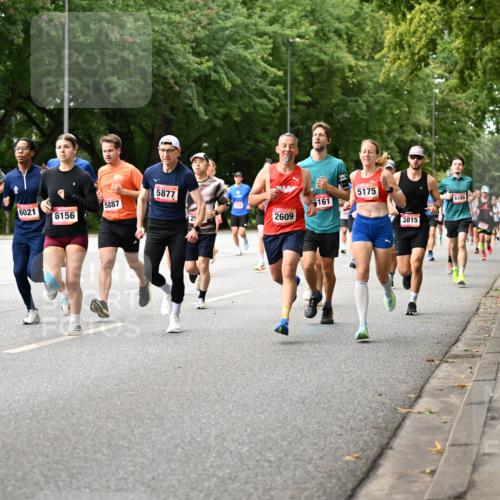 06.09.2026 - CURREX Alsterlauf Dr. Thomas Lammeyer http://msf.ph/oto/10114266 06.09.2026 09:07:14 Laufen 271, 8340, 5877, 5887, 161, 6021, 6156, 2609, 5175, 3815, 6186 meine-sportfotos.de