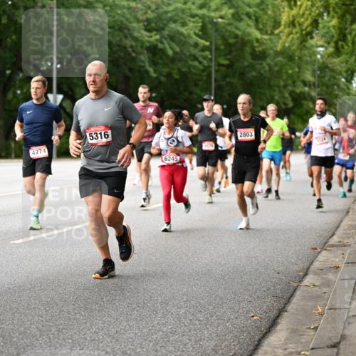 06.09.2026 - CURREX Alsterlauf Dr. Thomas Lammeyer http://msf.ph/oto/10114330 06.09.2026 09:07:23 Laufen 3, 4774, 5316, 6245, 4576, 2803 meine-sportfotos.de