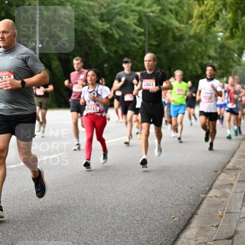 06.09.2026 - CURREX Alsterlauf Dr. Thomas Lammeyer http://msf.ph/oto/10114333 06.09.2026 09:07:24 Laufen 4774, 53, 6245, 2803 meine-sportfotos.de