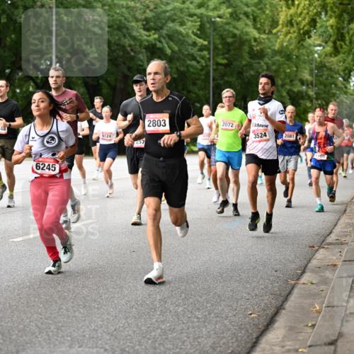 06.09.2026 - CURREX Alsterlauf Dr. Thomas Lammeyer http://msf.ph/oto/10114339 06.09.2026 09:07:25 Laufen 5448, 6245, 6124, 457, 2803, 2072, 3524, 2081, 105 meine-sportfotos.de