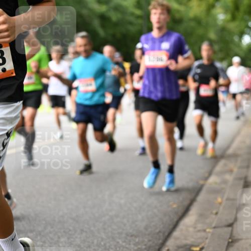 06.09.2026 - CURREX Alsterlauf Dr. Thomas Lammeyer http://msf.ph/oto/10114433 06.09.2026 09:07:40 Laufen 3008 meine-sportfotos.de