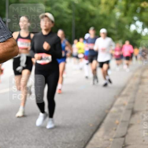 06.09.2026 - CURREX Alsterlauf Dr. Thomas Lammeyer http://msf.ph/oto/10114445 06.09.2026 09:07:43 Laufen  meine-sportfotos.de
