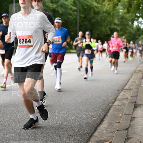 06.09.2026 - CURREX Alsterlauf Dr. Thomas Lammeyer http://msf.ph/oto/10114459 06.09.2026 09:07:45 Laufen 8264, 3642 meine-sportfotos.de
