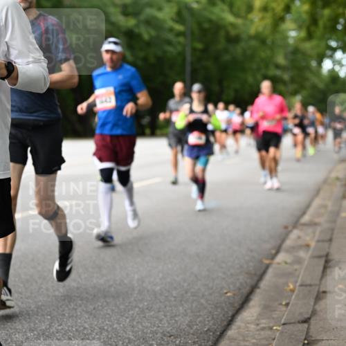 06.09.2026 - CURREX Alsterlauf Dr. Thomas Lammeyer http://msf.ph/oto/10114462 06.09.2026 09:07:45 Laufen 8264, 9442 meine-sportfotos.de