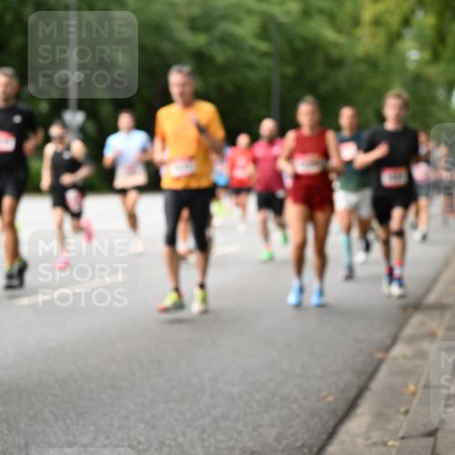 06.09.2026 - CURREX Alsterlauf Dr. Thomas Lammeyer http://msf.ph/oto/10114521 06.09.2026 09:07:54 Laufen 78 meine-sportfotos.de