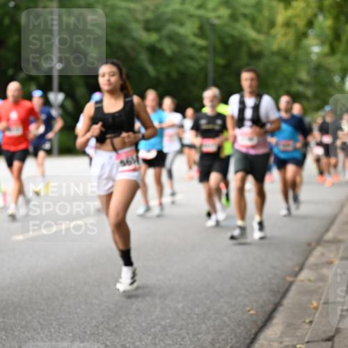 06.09.2026 - CURREX Alsterlauf Dr. Thomas Lammeyer http://msf.ph/oto/10114540 06.09.2026 09:07:57 Laufen 561 meine-sportfotos.de