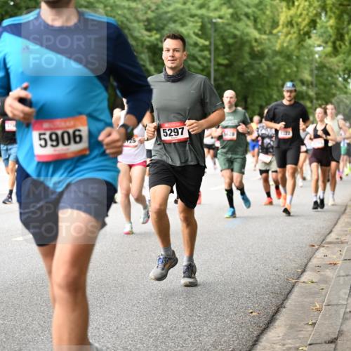 06.09.2026 - CURREX Alsterlauf Dr. Thomas Lammeyer http://msf.ph/oto/10114561 06.09.2026 09:08:00 Laufen 5906, 125, 5297, 5628 meine-sportfotos.de