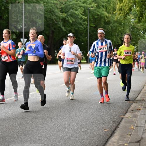 06.09.2026 - CURREX Alsterlauf Dr. Thomas Lammeyer http://msf.ph/oto/10114596 06.09.2026 09:08:06 Laufen 2, 0400, 2237, 722, 5463, 4471, 8210 meine-sportfotos.de