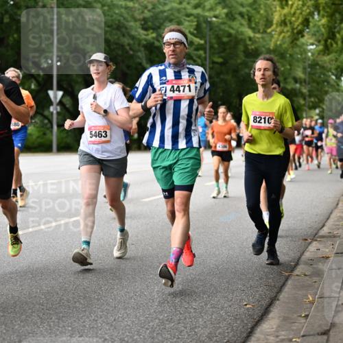 06.09.2026 - CURREX Alsterlauf Dr. Thomas Lammeyer http://msf.ph/oto/10114601 06.09.2026 09:08:07 Laufen 190, 2463, 880, 5463, 4471, 8210 meine-sportfotos.de