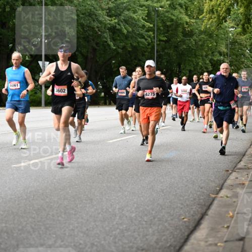 06.09.2026 - CURREX Alsterlauf Dr. Thomas Lammeyer http://msf.ph/oto/10114623 06.09.2026 09:08:10 Laufen 3200, 6061, 435, 3602, 5182, 4405, 4275, 249, 2796, 4598 meine-sportfotos.de
