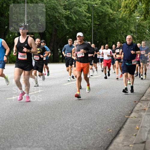 06.09.2026 - CURREX Alsterlauf Dr. Thomas Lammeyer http://msf.ph/oto/10114625 06.09.2026 09:08:11 Laufen 3286, 6061, 4359, 3602, 4405, 4275, 5182, 5274, 2499, 2796 meine-sportfotos.de