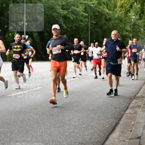06.09.2026 - CURREX Alsterlauf Dr. Thomas Lammeyer http://msf.ph/oto/10114630 06.09.2026 09:08:11 Laufen 3602, 4583, 5274, 4275, 2499, 2796 meine-sportfotos.de