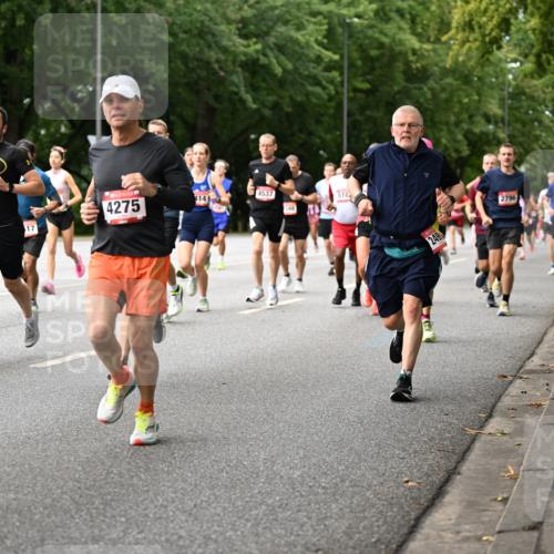 06.09.2026 - CURREX Alsterlauf Dr. Thomas Lammeyer http://msf.ph/oto/10114634 06.09.2026 09:08:12 Laufen 5274, 4275, 414, 17, 4537, 348, 518, 2796 meine-sportfotos.de