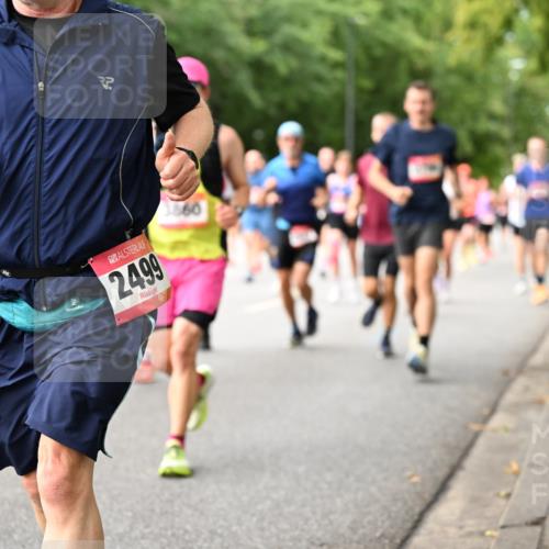 06.09.2026 - CURREX Alsterlauf Dr. Thomas Lammeyer http://msf.ph/oto/10114645 06.09.2026 09:08:14 Laufen 2499 meine-sportfotos.de
