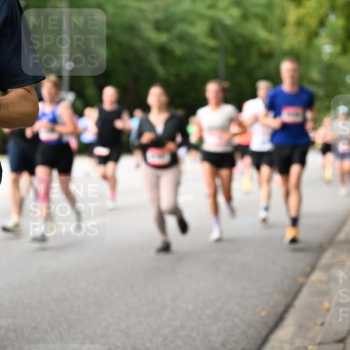 06.09.2026 - CURREX Alsterlauf Dr. Thomas Lammeyer http://msf.ph/oto/10114659 06.09.2026 09:08:16 Laufen 796 meine-sportfotos.de