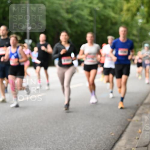 06.09.2026 - CURREX Alsterlauf Dr. Thomas Lammeyer http://msf.ph/oto/10114660 06.09.2026 09:08:16 Laufen  meine-sportfotos.de