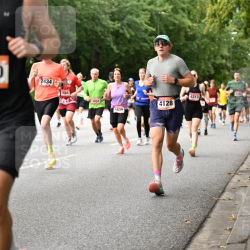06.09.2026 - CURREX Alsterlauf Dr. Thomas Lammeyer http://msf.ph/oto/10114680 06.09.2026 09:08:19 Laufen 4987, 2850, 2434, 5884, 4954, 5839, 4128, 4313 meine-sportfotos.de