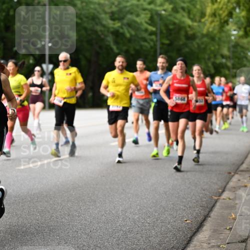06.09.2026 - CURREX Alsterlauf Dr. Thomas Lammeyer http://msf.ph/oto/10114719 06.09.2026 09:08:25 Laufen 340, 5160, 5868 meine-sportfotos.de
