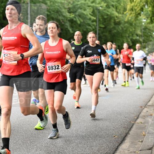 06.09.2026 - CURREX Alsterlauf Dr. Thomas Lammeyer http://msf.ph/oto/10114731 06.09.2026 09:08:27 Laufen 4997, 5932, 442 meine-sportfotos.de