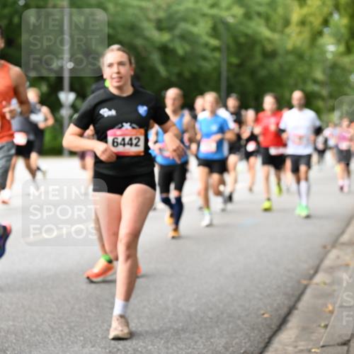 06.09.2026 - CURREX Alsterlauf Dr. Thomas Lammeyer http://msf.ph/oto/10114737 06.09.2026 09:08:28 Laufen 2, 6442 meine-sportfotos.de