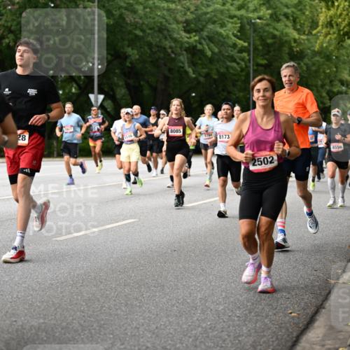 06.09.2026 - CURREX Alsterlauf Dr. Thomas Lammeyer http://msf.ph/oto/10114766 06.09.2026 09:08:33 Laufen 3138, 28, 2807, 5546, 8085, 5784, 8173, 2502, 4556 meine-sportfotos.de