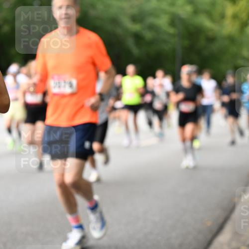 06.09.2026 - CURREX Alsterlauf Dr. Thomas Lammeyer http://msf.ph/oto/10114773 06.09.2026 09:08:34 Laufen  meine-sportfotos.de