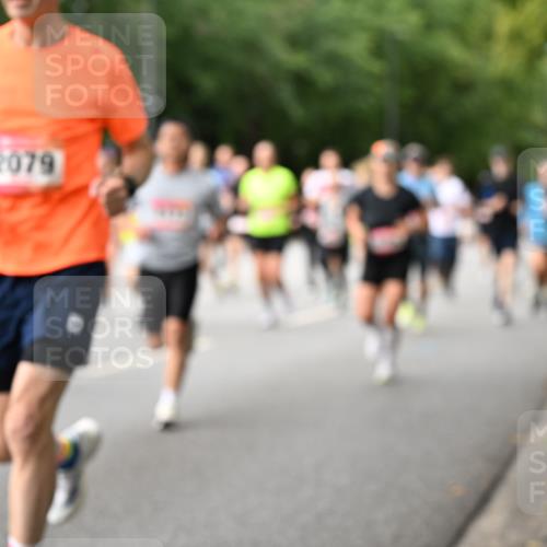 06.09.2026 - CURREX Alsterlauf Dr. Thomas Lammeyer http://msf.ph/oto/10114775 06.09.2026 09:08:34 Laufen 2079 meine-sportfotos.de