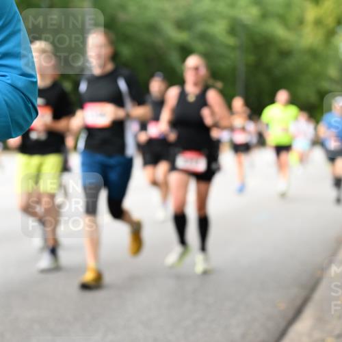 06.09.2026 - CURREX Alsterlauf Dr. Thomas Lammeyer http://msf.ph/oto/10114802 06.09.2026 09:08:39 Laufen  meine-sportfotos.de