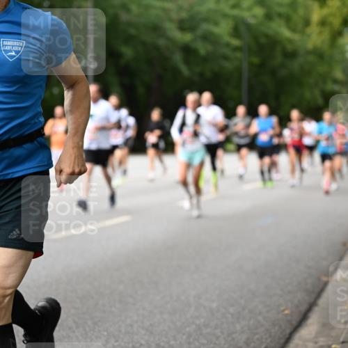06.09.2026 - CURREX Alsterlauf Dr. Thomas Lammeyer http://msf.ph/oto/10114827 06.09.2026 09:08:43 Laufen 3408 meine-sportfotos.de