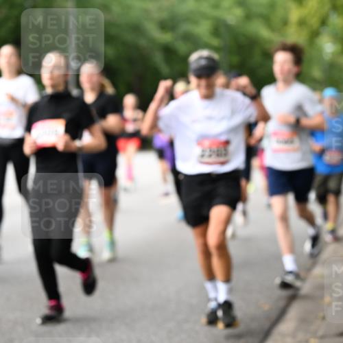 06.09.2026 - CURREX Alsterlauf Dr. Thomas Lammeyer http://msf.ph/oto/10114920 06.09.2026 09:08:57 Laufen 2365 meine-sportfotos.de