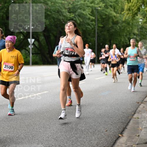 06.09.2026 - CURREX Alsterlauf Dr. Thomas Lammeyer http://msf.ph/oto/10115024 06.09.2026 09:09:18 Laufen 1, 46, 2500, 8023, 8212 meine-sportfotos.de