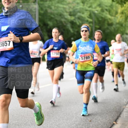 06.09.2026 - CURREX Alsterlauf Dr. Thomas Lammeyer http://msf.ph/oto/10115192 06.09.2026 09:09:59 Laufen 5657, 5750, 5785 meine-sportfotos.de