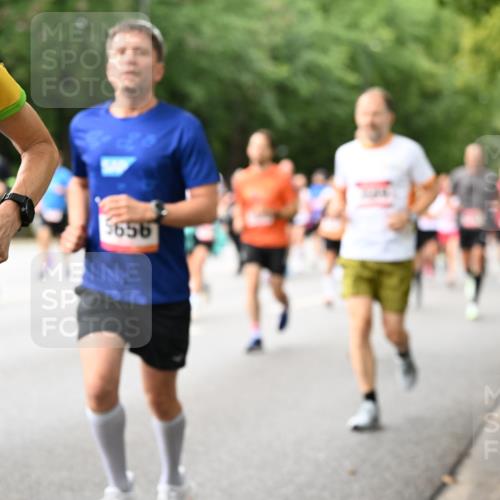 06.09.2026 - CURREX Alsterlauf Dr. Thomas Lammeyer http://msf.ph/oto/10115201 06.09.2026 09:10:00 Laufen 2, 35, 5656 meine-sportfotos.de