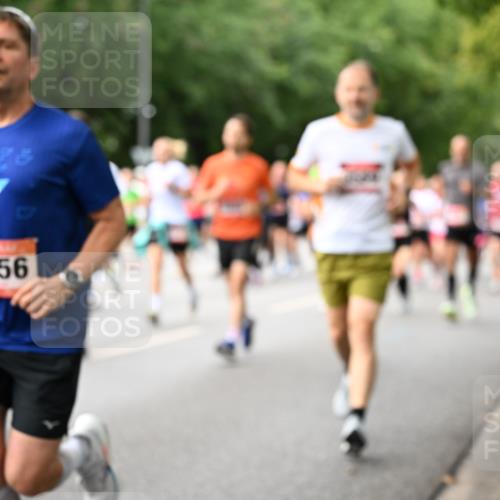 06.09.2026 - CURREX Alsterlauf Dr. Thomas Lammeyer http://msf.ph/oto/10115203 06.09.2026 09:10:00 Laufen 5656 meine-sportfotos.de