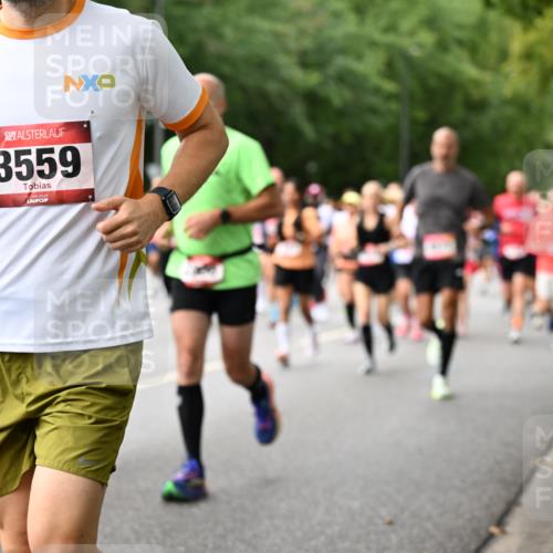 06.09.2026 - CURREX Alsterlauf Dr. Thomas Lammeyer http://msf.ph/oto/10115212 06.09.2026 09:10:01 Laufen 3559 meine-sportfotos.de