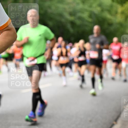 06.09.2026 - CURREX Alsterlauf Dr. Thomas Lammeyer http://msf.ph/oto/10115213 06.09.2026 09:10:02 Laufen  meine-sportfotos.de