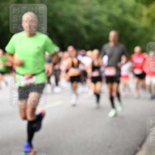 06.09.2026 - CURREX Alsterlauf Dr. Thomas Lammeyer http://msf.ph/oto/10115214 06.09.2026 09:10:02 Laufen  meine-sportfotos.de