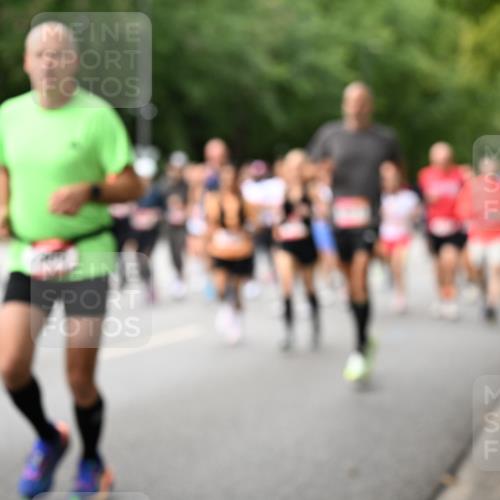 06.09.2026 - CURREX Alsterlauf Dr. Thomas Lammeyer http://msf.ph/oto/10115215 06.09.2026 09:10:02 Laufen  meine-sportfotos.de